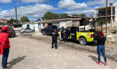 Reportaron envenenamiento masivo de perros en San Luis Potosí