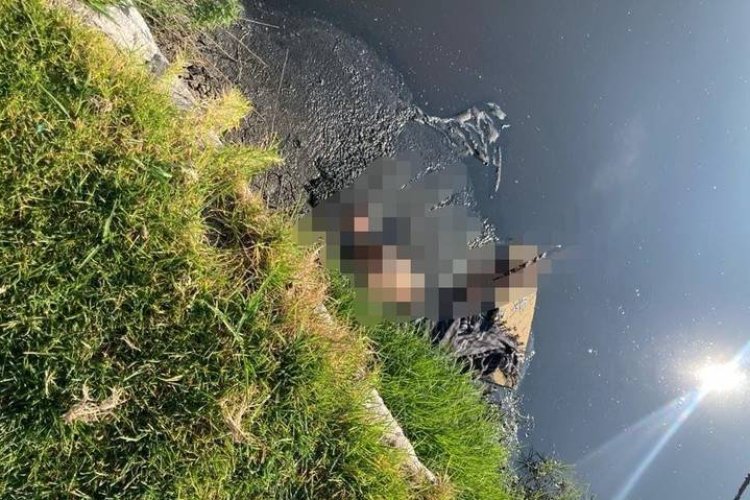 Encuentran cuerpo flotando en el río Lerma de Toluca, Edomex