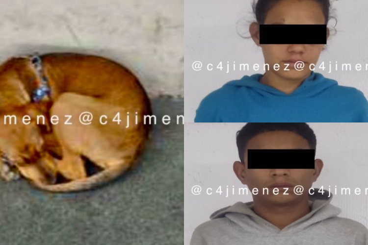 Dos venezolanos fueron arrestados en la alcaldía Cuauhtémoc por apalear a un perro