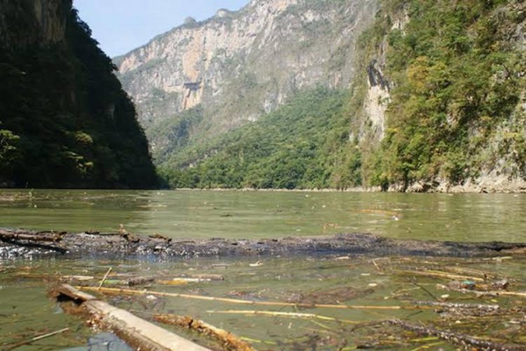 Afluente del río Grijalva a la baja, peligran cosechas y pasos turísticos