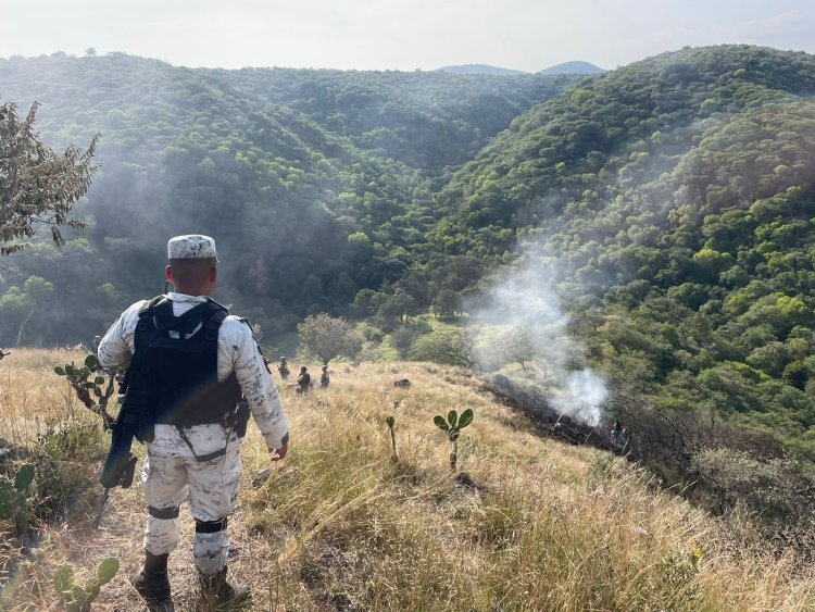 Reportaron la muerte de cuatro personas tras desplome de avioneta en Morelos