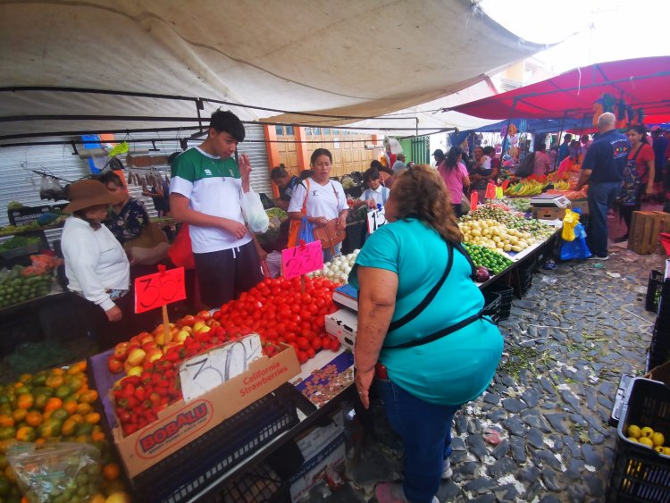 Por temporal anómalo podría registrase escasez de alimentos en Jalisco