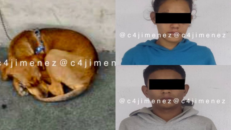 Dos venezolanos fueron arrestados en la alcaldía Cuauhtémoc por apalear a un perro