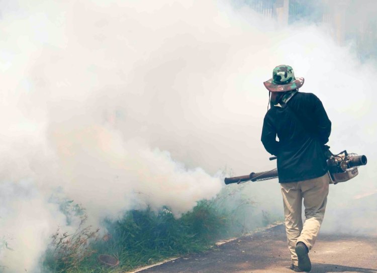 Controlan dengue en Sinaloa