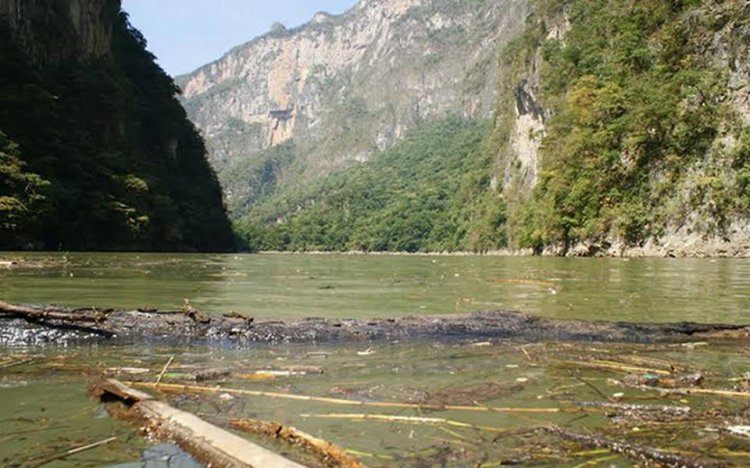 Afluente del río Grijalva a la baja, peligran cosechas y pasos turísticos