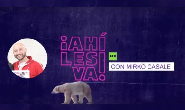 ¡Ahí les va! Platicamos con Mirko Casale durante su visita a México