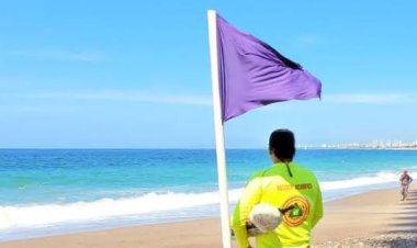 Activan bandera morada en playas de Jalisco luego de ataque de tiburón
