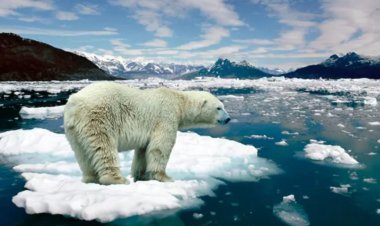 Estos son los signos de que una persona sufre ansiedad climática