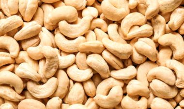 Beneficios de consumir nueces de la India