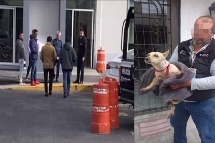 Se presentó ante la Fiscalía del EDOMEX el agresor del perro “Licenciado”