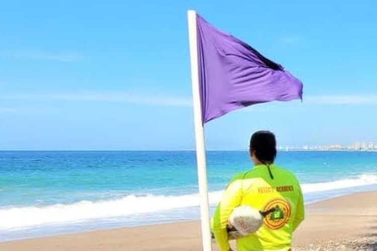 Activan bandera morada en playas de Jalisco luego de ataque de tiburón