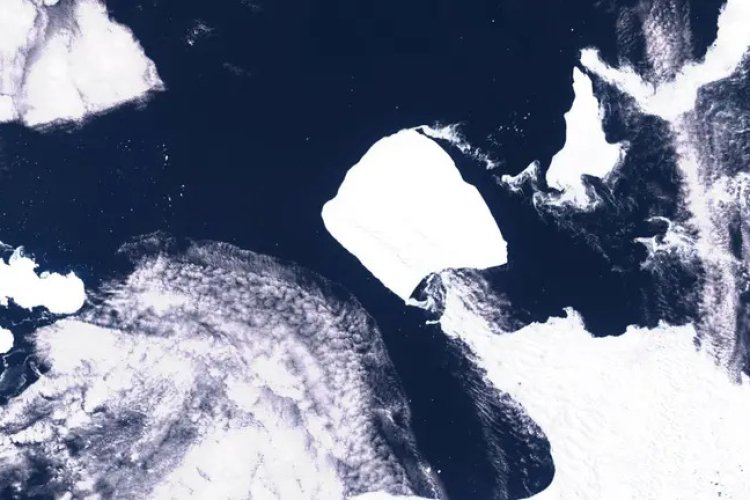 Este es el lugar donde podría impactar el iceberg más grande del mundo