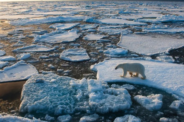 Se está liberando metano en el fondo de los océanos por calentamiento global