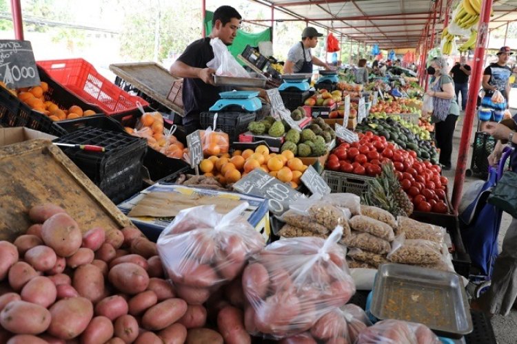 Comer se ha vuelto un lujo, canasta básica aumenta de precio