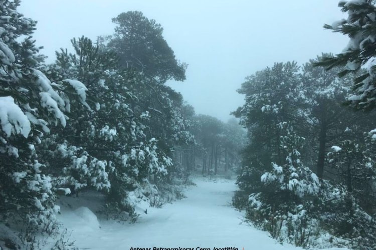 Reportan nevada en el cerro de Jocotitlán en el EDOMEX