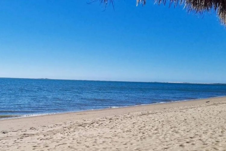 Cofepris advierte de no nadar en playas mexicanas al representar riesgos para la salud