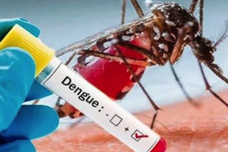 Una de cada dos personas en el mundo corre el riesgo de contraer dengue, alerta la OMS