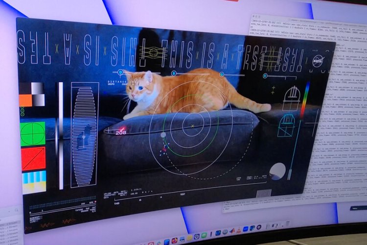 NASA emitió un vídeo de un gato en alta definición desde la nave Psyche