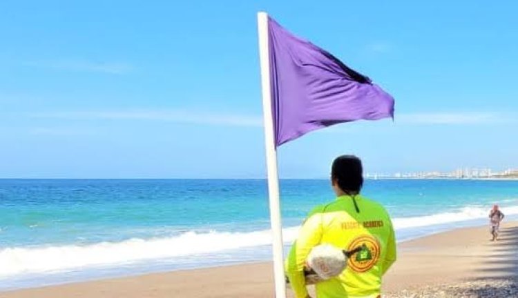 Activan bandera morada en playas de Jalisco luego de ataque de tiburón