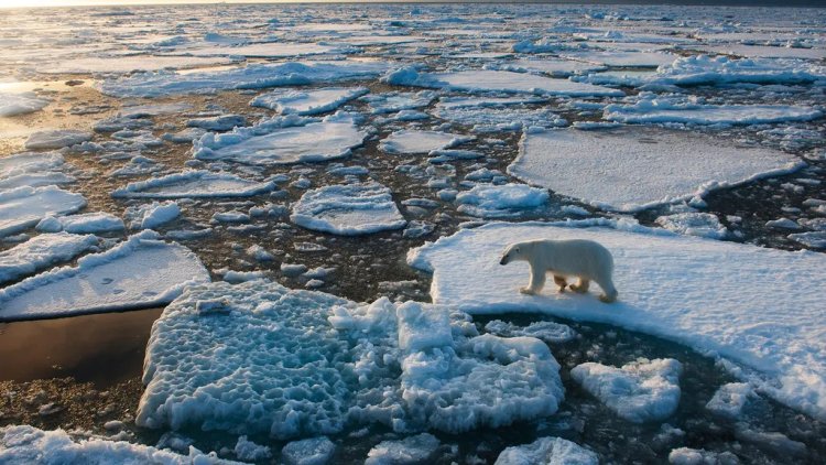 Se está liberando metano en el fondo de los océanos por calentamiento global