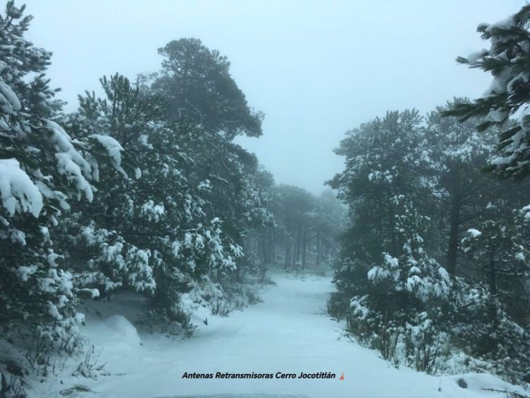 Reportan nevada en el cerro de Jocotitlán en el EDOMEX