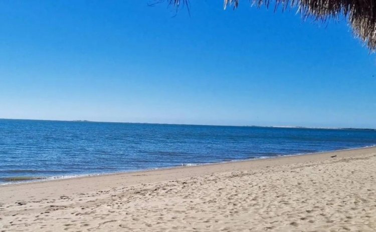Cofepris advierte de no nadar en playas mexicanas al representar riesgos para la salud