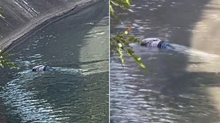 Encuentran cuerpo flotando en Canal de Río de los Remedios en Naucalpan, Edomex