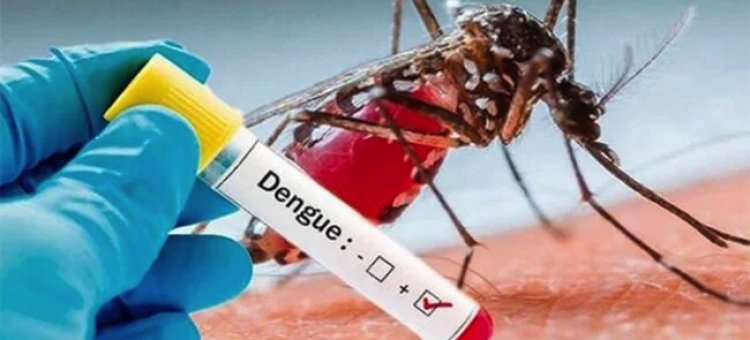 Una de cada dos personas en el mundo corre el riesgo de contraer dengue, alerta la OMS