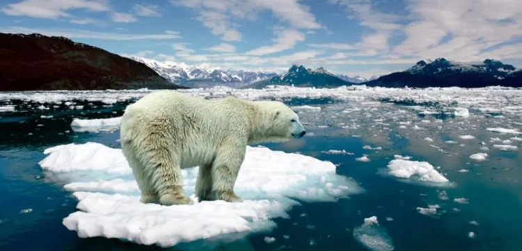 Estos son los signos de que una persona sufre ansiedad climática