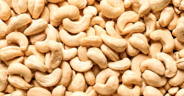 Beneficios de consumir nueces de la India