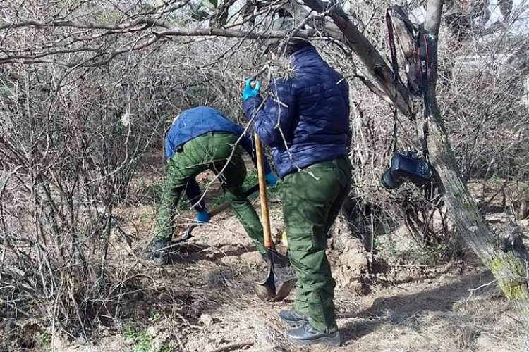Encuentran una fosa con 10 cuerpos humanos en Luis Moya, Zacatecas