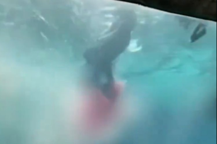 Niño es atacado por tiburón en un hotel en Bahamas