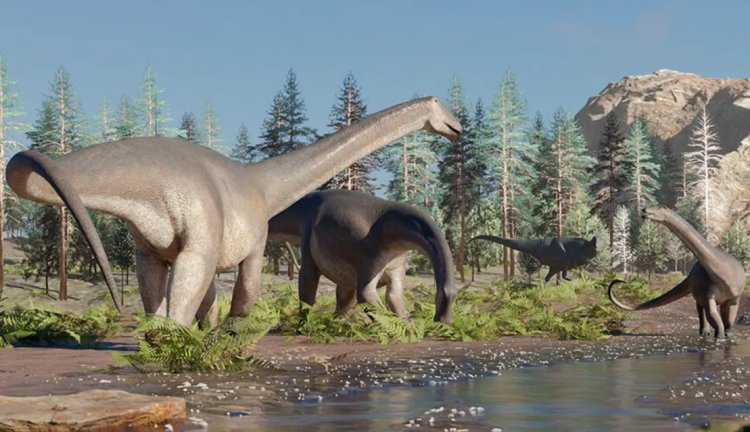 Encuentran nuevo fósil de dinosaurio en Argentina