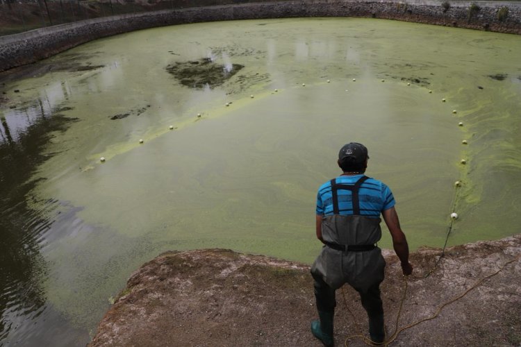 En Tecámac realizan actividades alusivas por el Dia Nacional del Ajolote