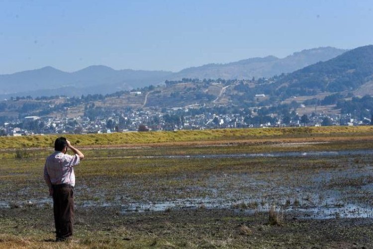 Presas al 42 por ciento de su capacidad afectaran al sector agrícola y economía