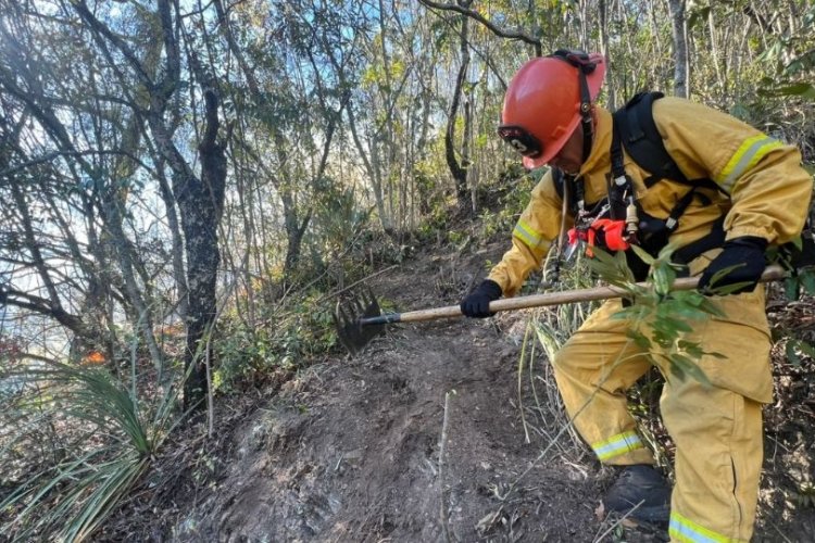 Combaten incendio que terminó con 10 hectáreas en Nuevo León