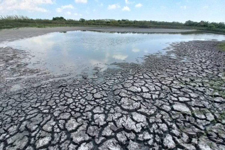 Sequía afecta la zona pesquera de Tamaulipas
