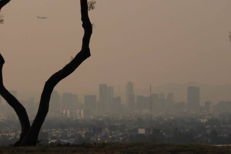 Multan a más de mil 300 automovilistas por no respetar contingencia ambiental