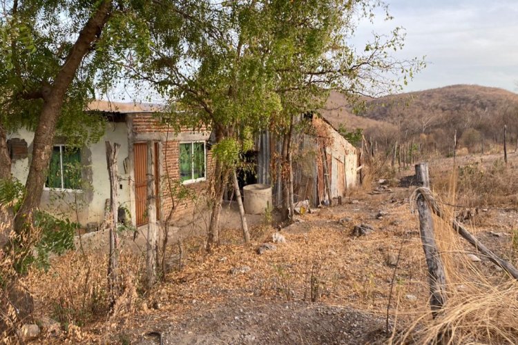Registra Sinaloa sequía en la mayoría de municipios