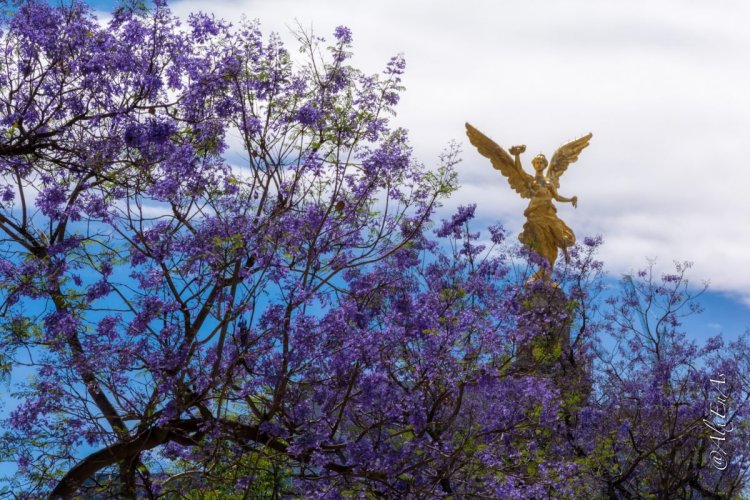 Este día termina el invierno en México