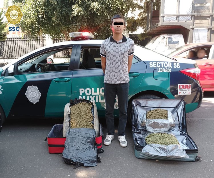 Detienen a sujeto que pretendía viajar con 20 kilos de marihuana en la CDMX