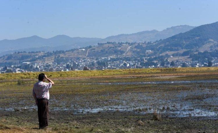 Presas al 42 por ciento de su capacidad afectaran al sector agrícola y economía