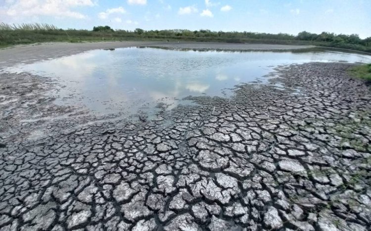 Sequía afecta la zona pesquera de Tamaulipas