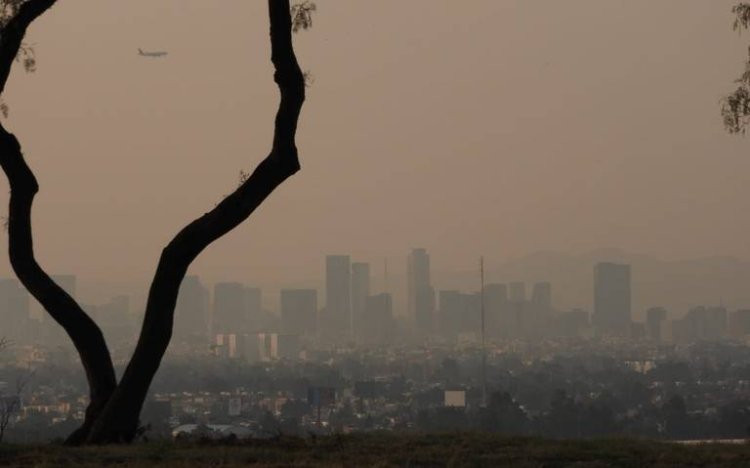 Multan a más de mil 300 automovilistas por no respetar contingencia ambiental