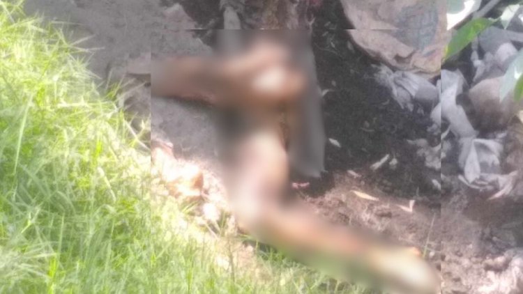 Encuentran cuerpo en descomposición en Canal de Chalco en la alcaldía Iztapalapa
