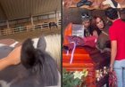 Caballos dan último adiós a Elena Larrea en Cuacolandia