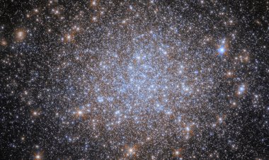 El telescopio Hubble descubrió un fósil celeste