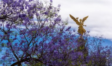 Se acerca el equinoccio de primavera 2024 en México