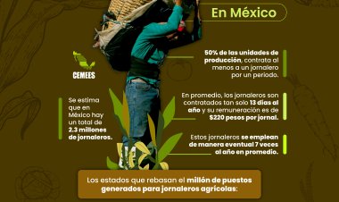 Los Jornaleros en México