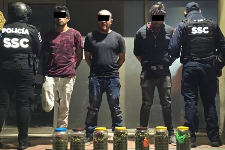 Detienen a narcomenudistas con marihuana en Tepito, CDMX
